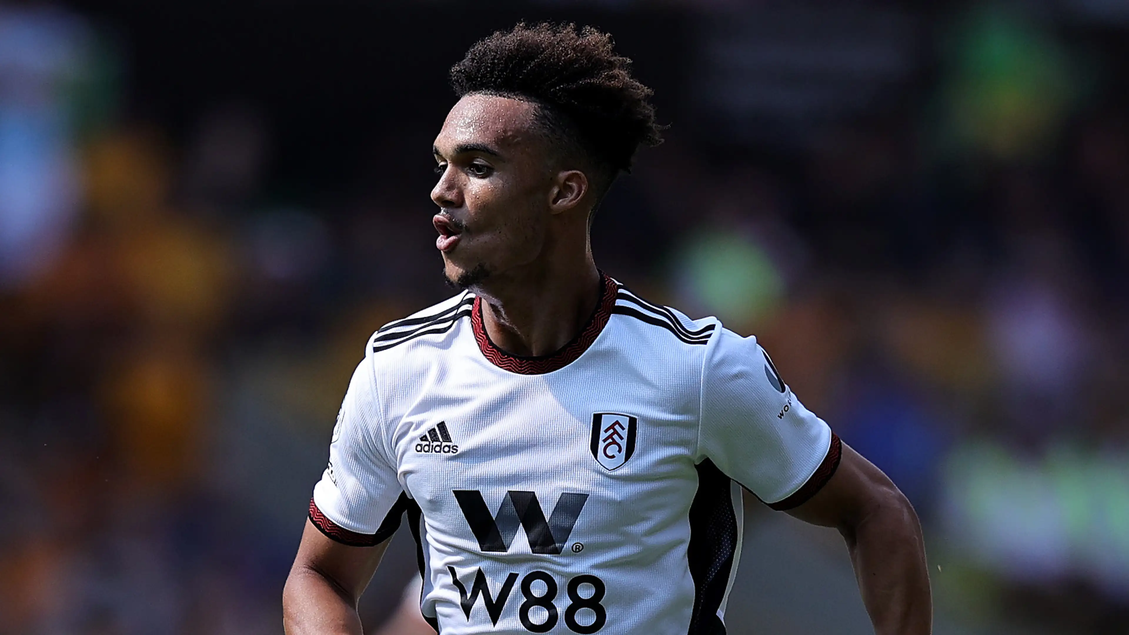 Champions League clubs racing for the Fulham star